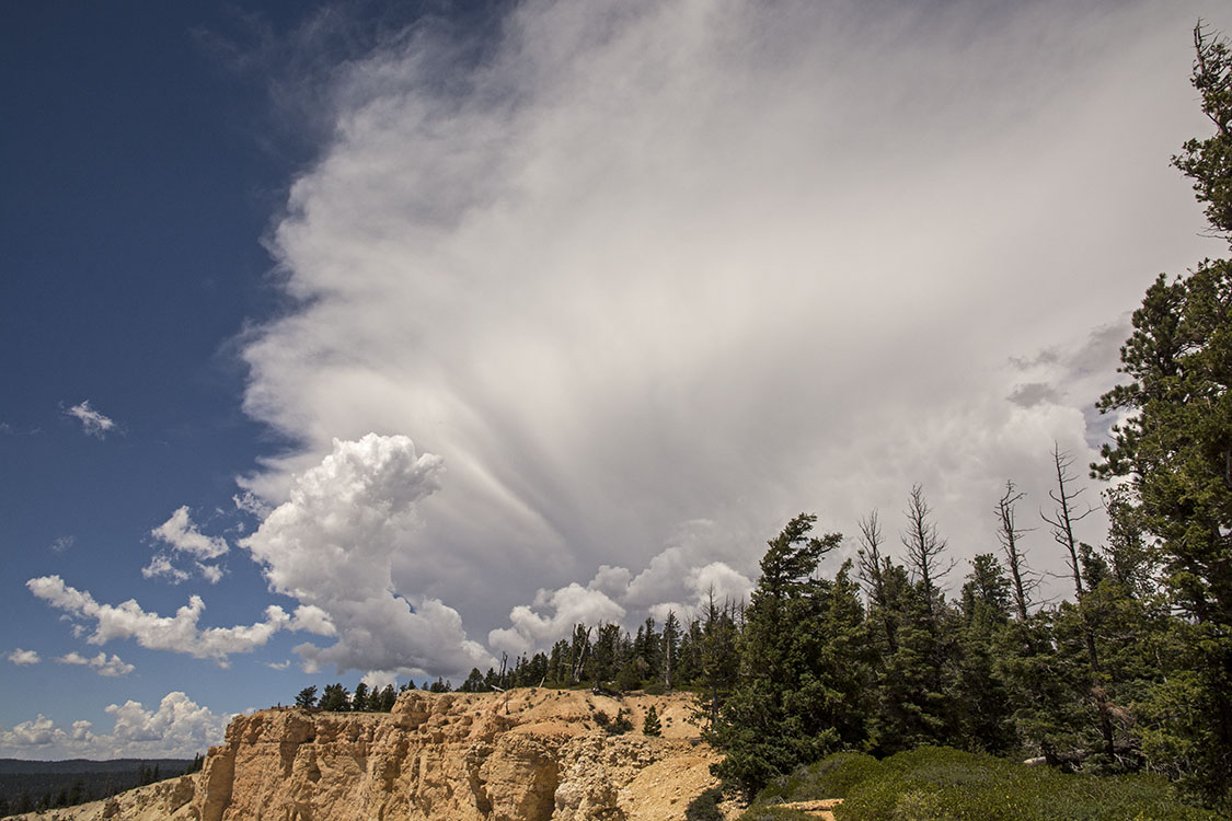 Utah-land